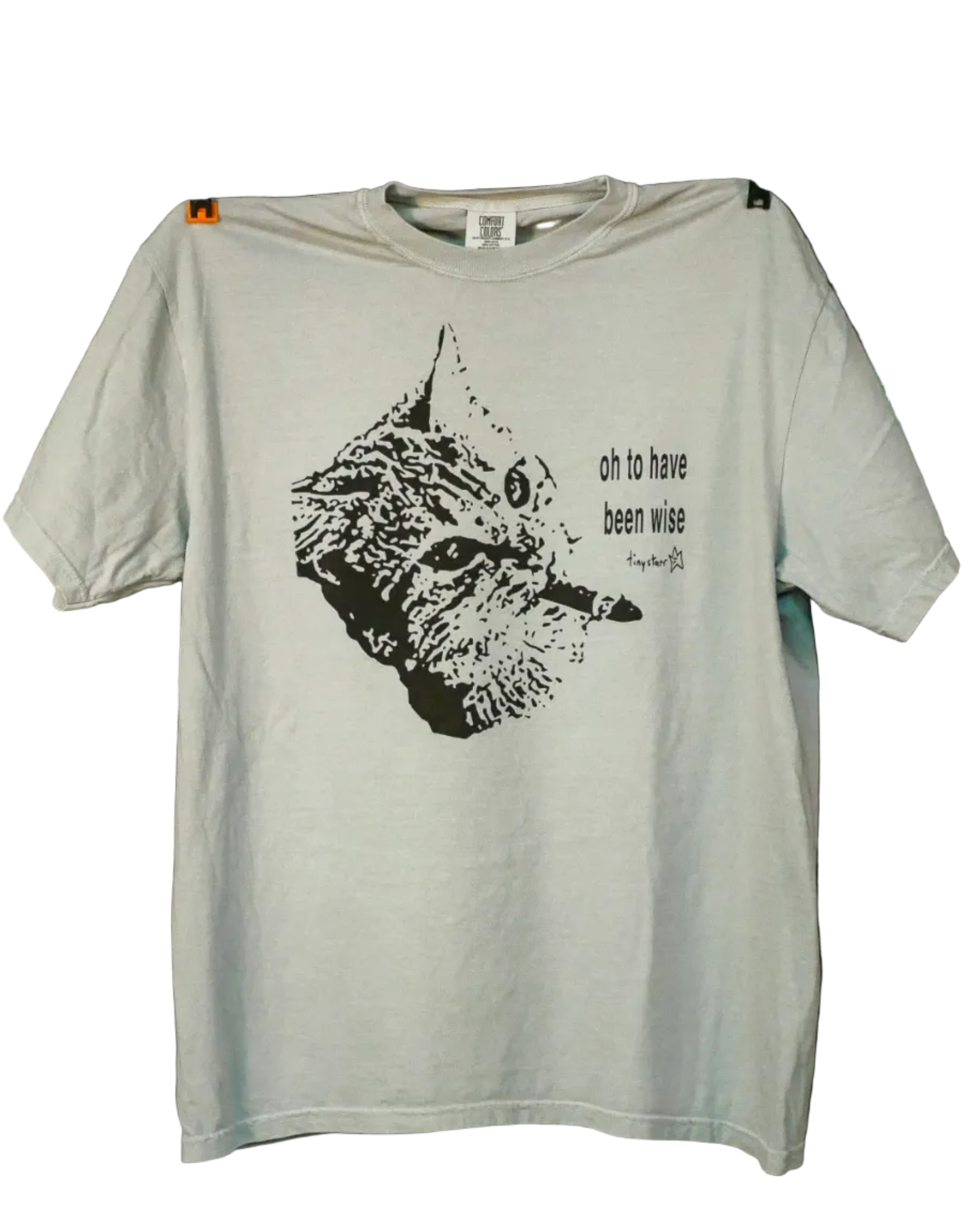 "to have been wise" tee