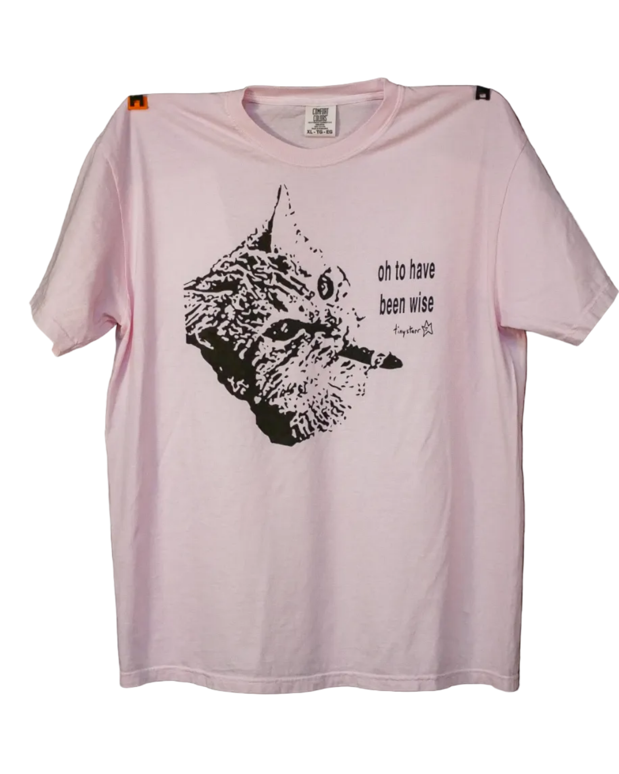 "to have been wise" tee